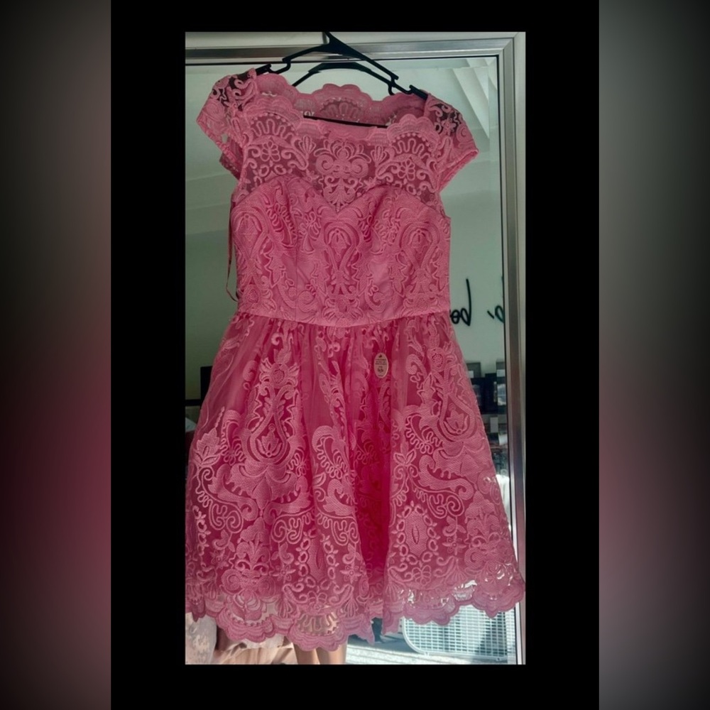 Elegant Pink Lace Dress
